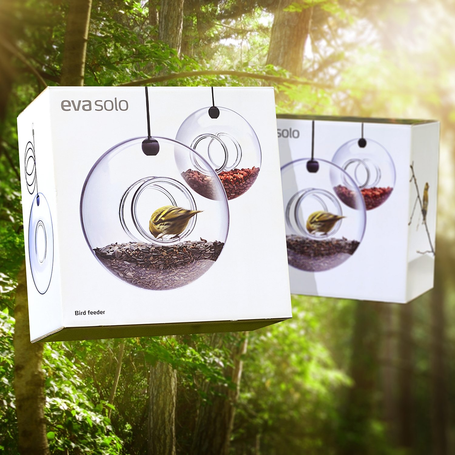 Packaging design
