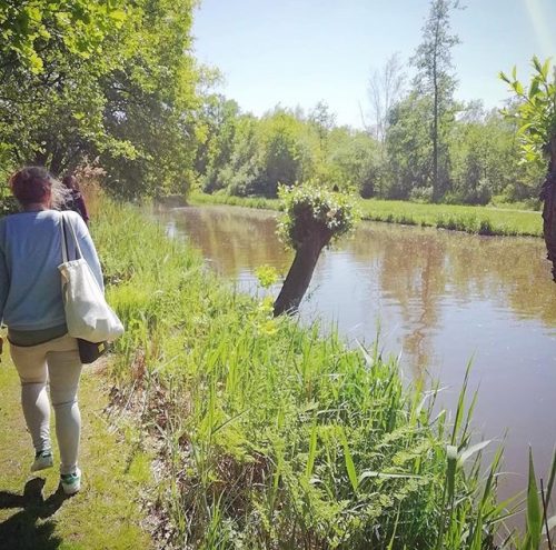 wandelen-heempark-eindhoven-genepper-parken