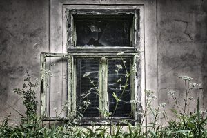 Image by Bristol Photographic Society Member