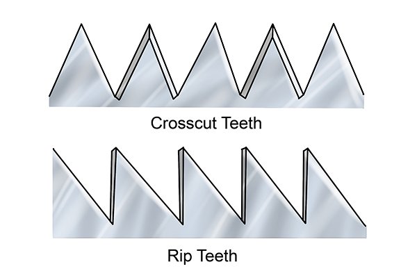 sawteeth