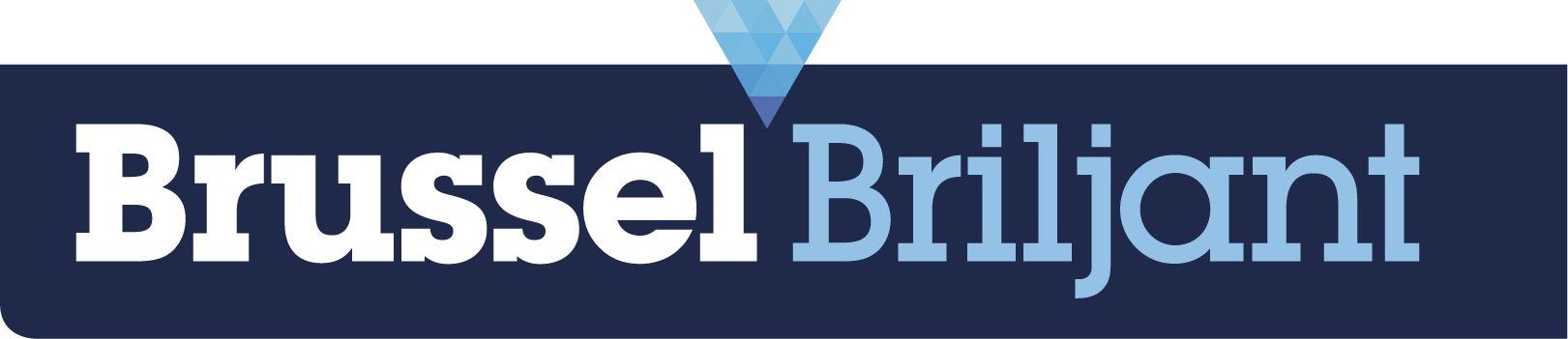 Logo Brussel Briljant