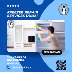 Freezer Repair Services Dubai United Arab Emirates