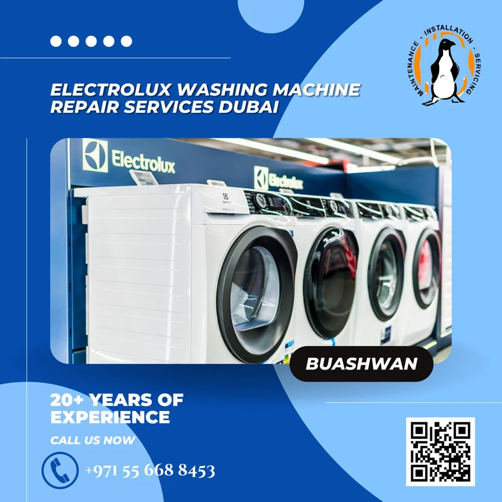 Expert Electrolux Washing Machine Repair Dubai New old Fixes