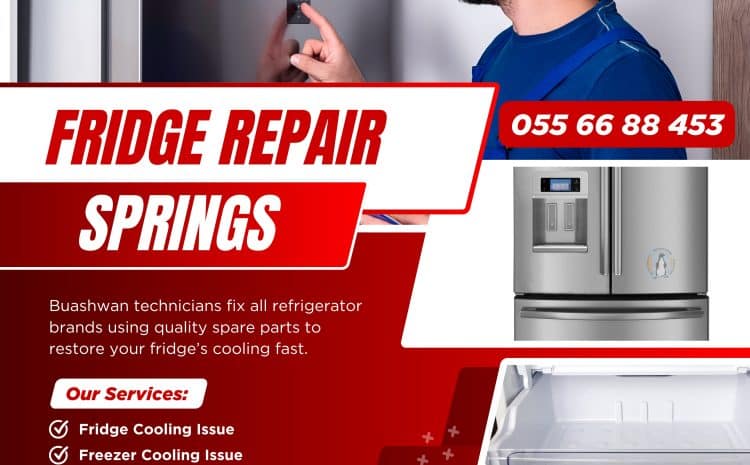 Fridge Repair In Springs