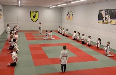 Was jij bij de Koningsspelen mini judo clinics?