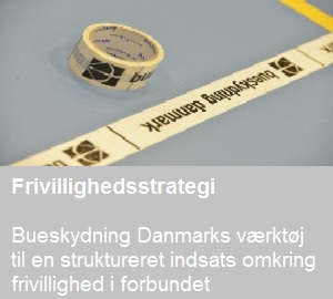 Frivillig_thumb_strategibanner
