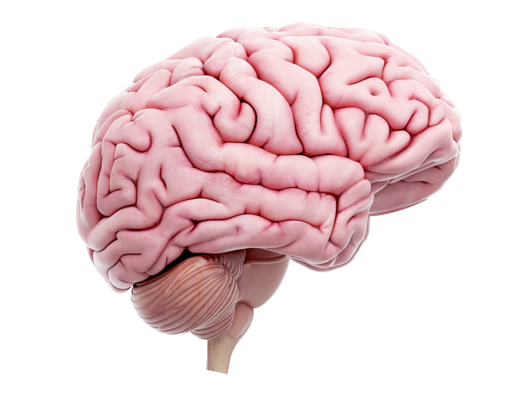 NeuroCOVID: NIH Launches Database to Track Neurological Symptoms of COVID-19