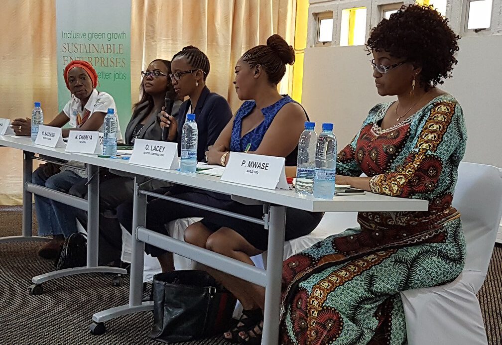 Diaspora Connect attends the ZIPEXPO Buying Property in Zambia