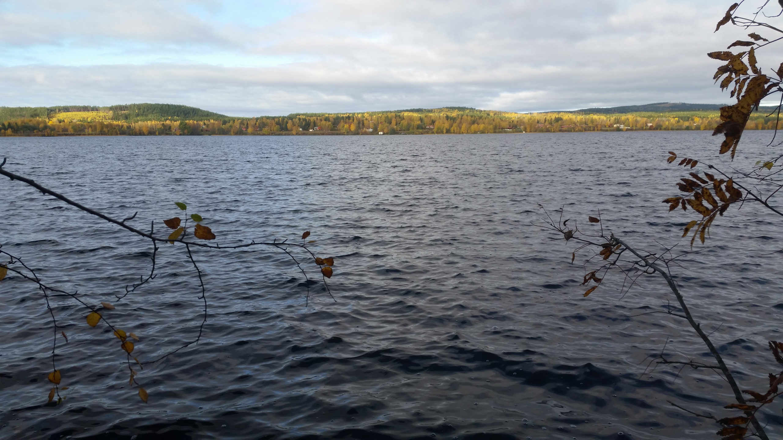 Blog_JS_bysjostr_01