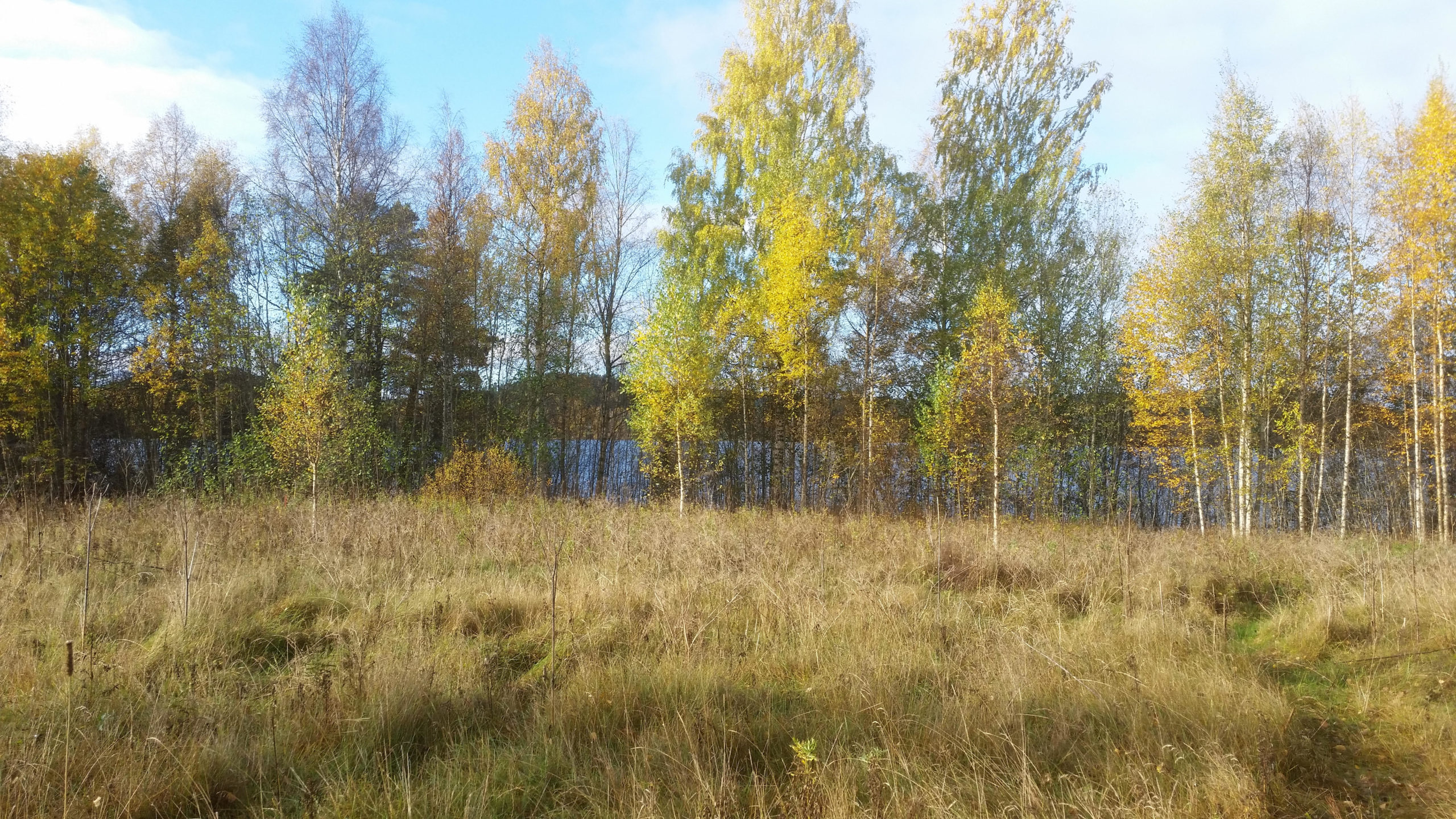 Blog_JS_bysjostr_02