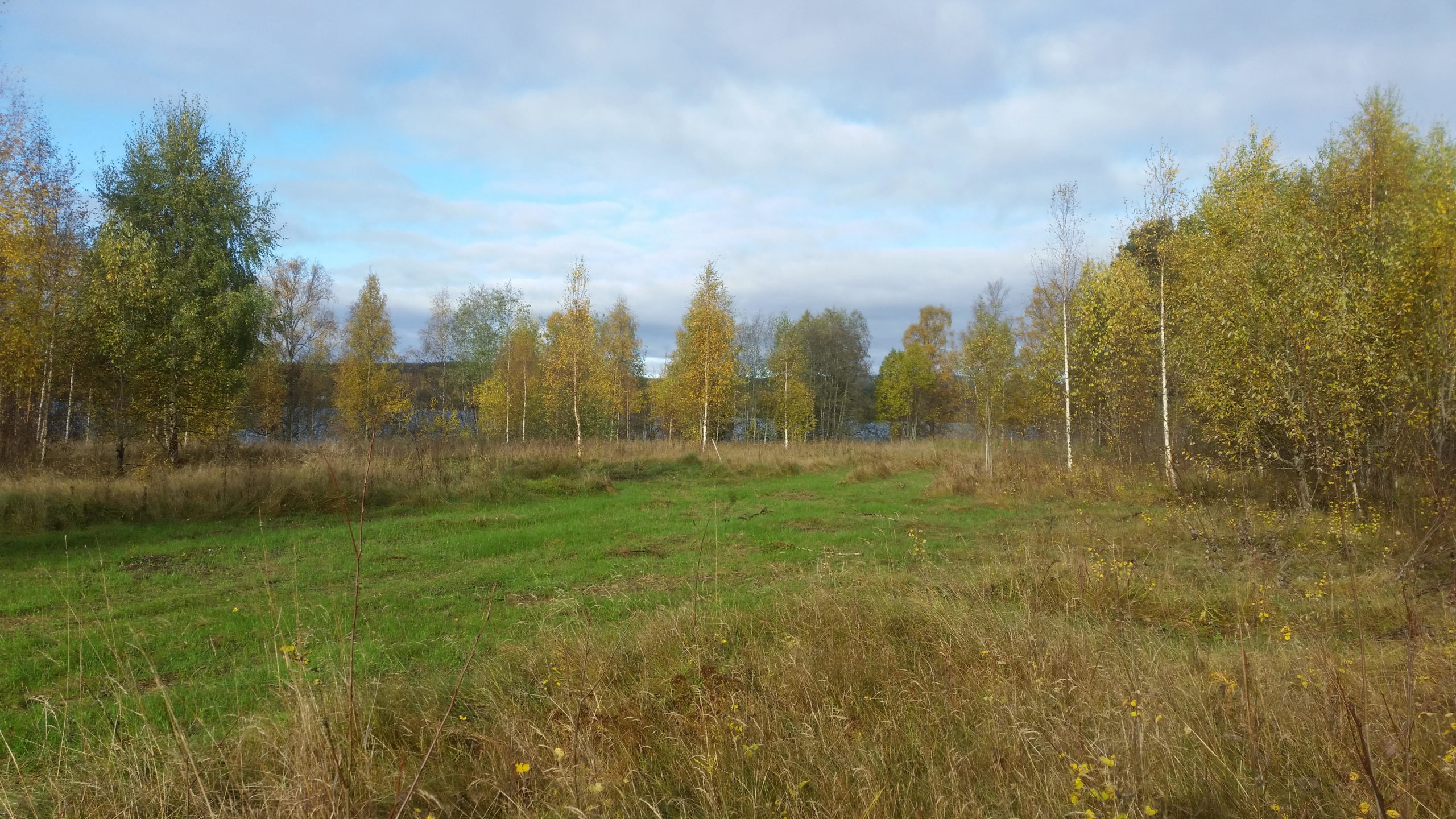 Blog_JS_bysjostr_03