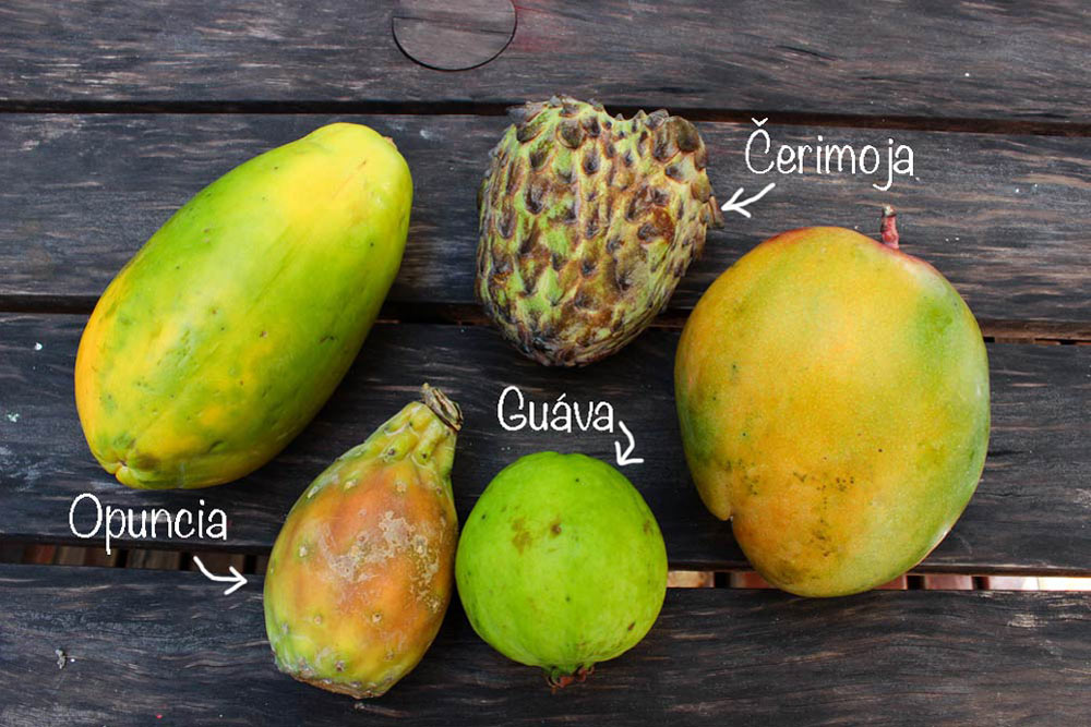 Tropické ovocie – časť 2.
