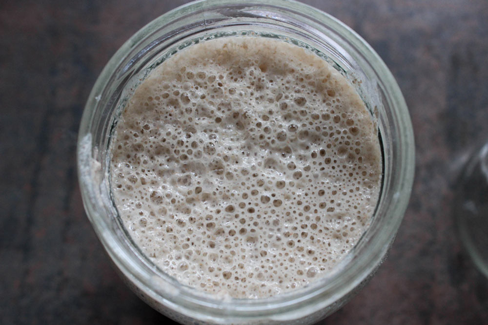 Rye sourdough starter