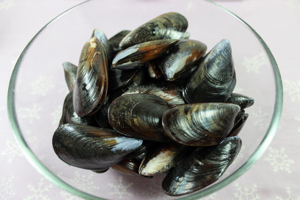 Blue mussels before cooking