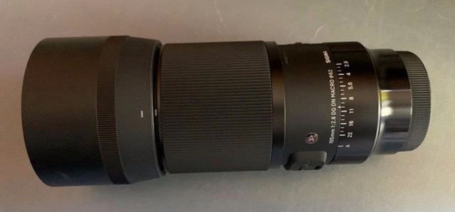 Nieuw Sigma 105mm f/2.8 DG DN Macro Art Sony E