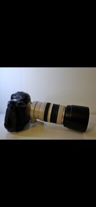 Canon 100-400mm L IS USM