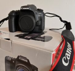Canon EOS 90D 18-135mm / 50mm