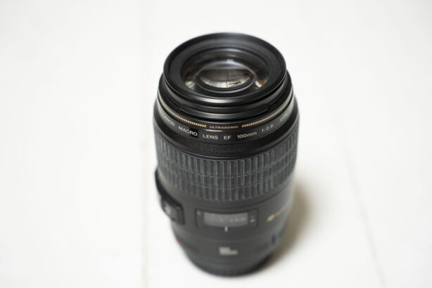 Canon EF 100mm f/2.8 USM macro
