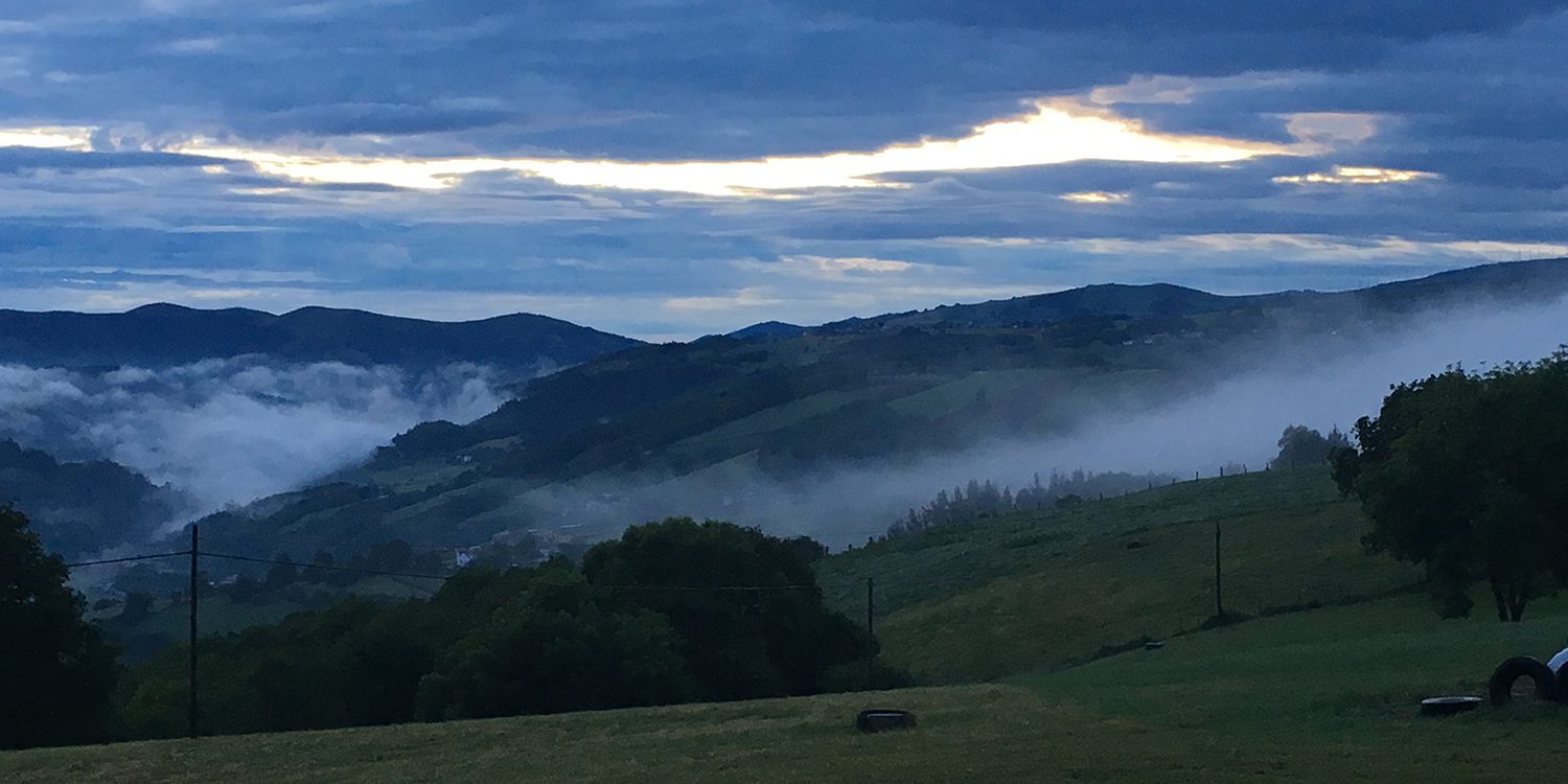 Guide for Camino Primitivo