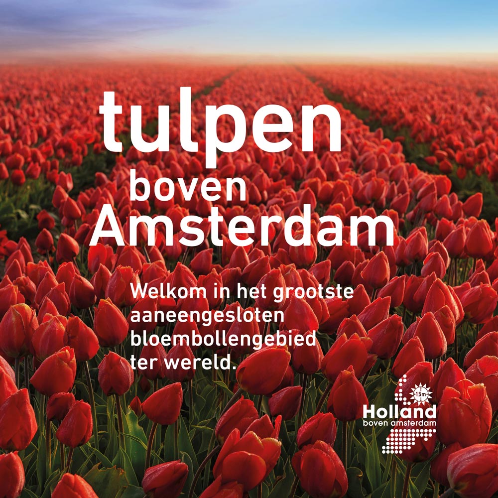 Tulpen boven Amsterdam