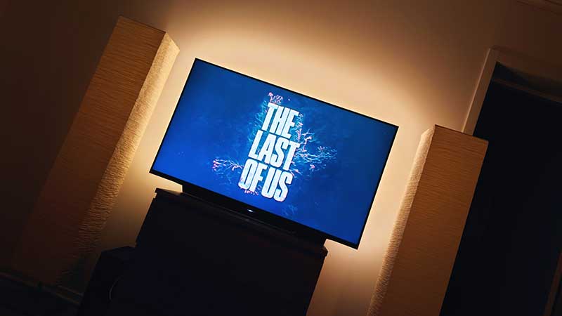 The Last of Us – Sön, kl: 18.22 (Rond 11, Cytarabin, DLI & Imbruvica)