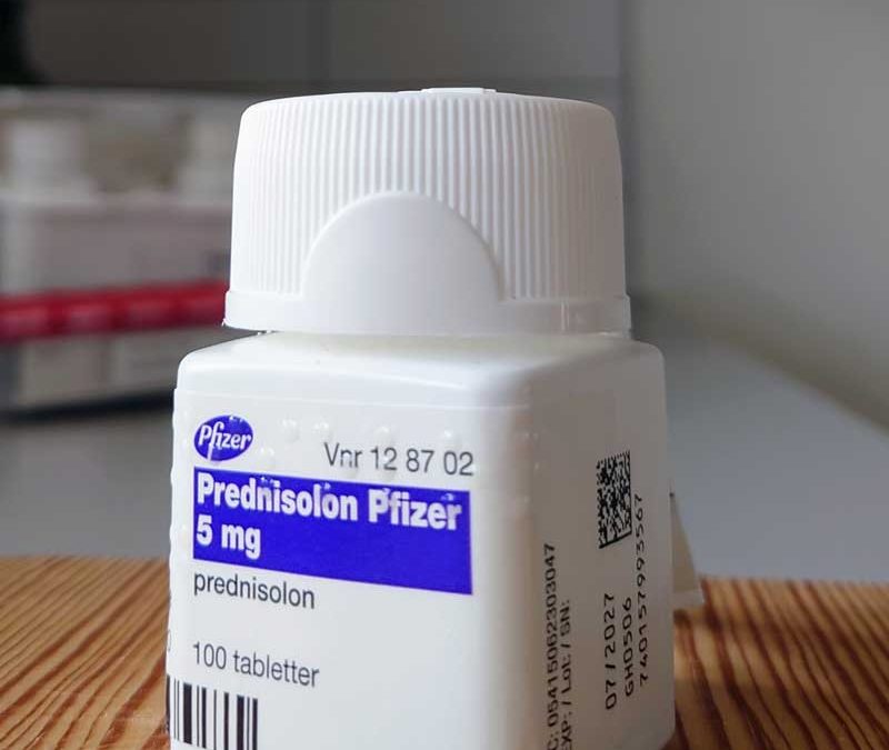 Prednisolon, ett snällare kortison än Dexametason som kommer användas för att fasa ut kortisonanvändandet.
