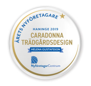 Årets nyföretagare 2019 Haninge