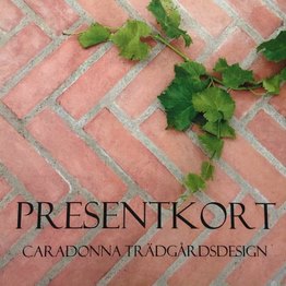 Presentkort