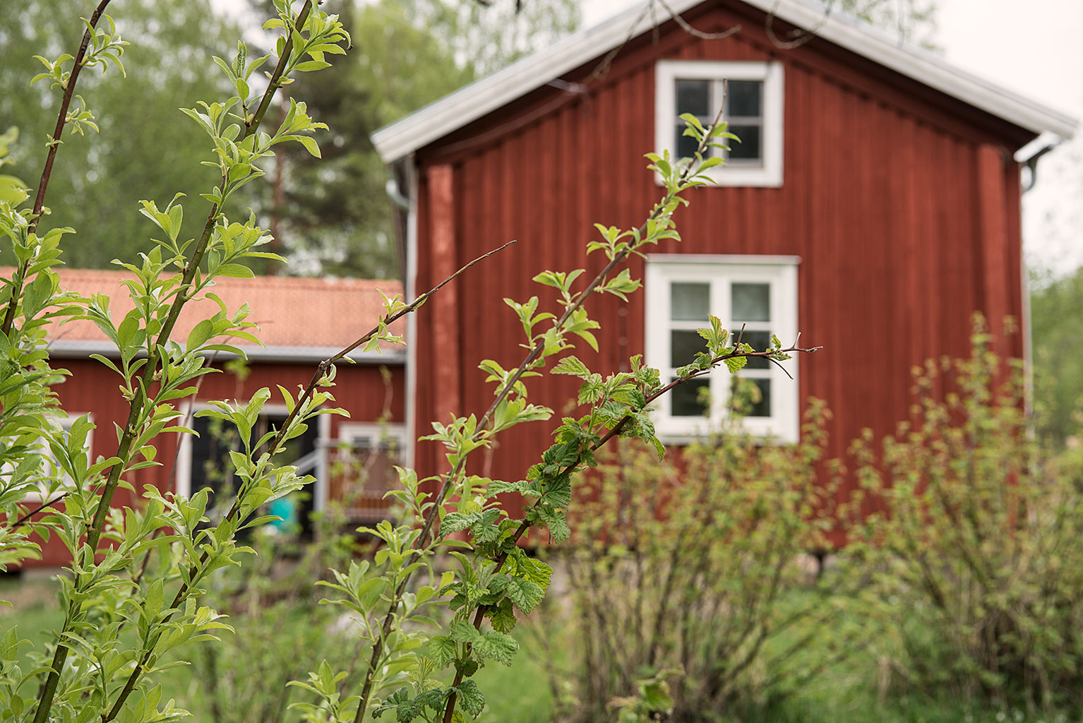 Vårskrud