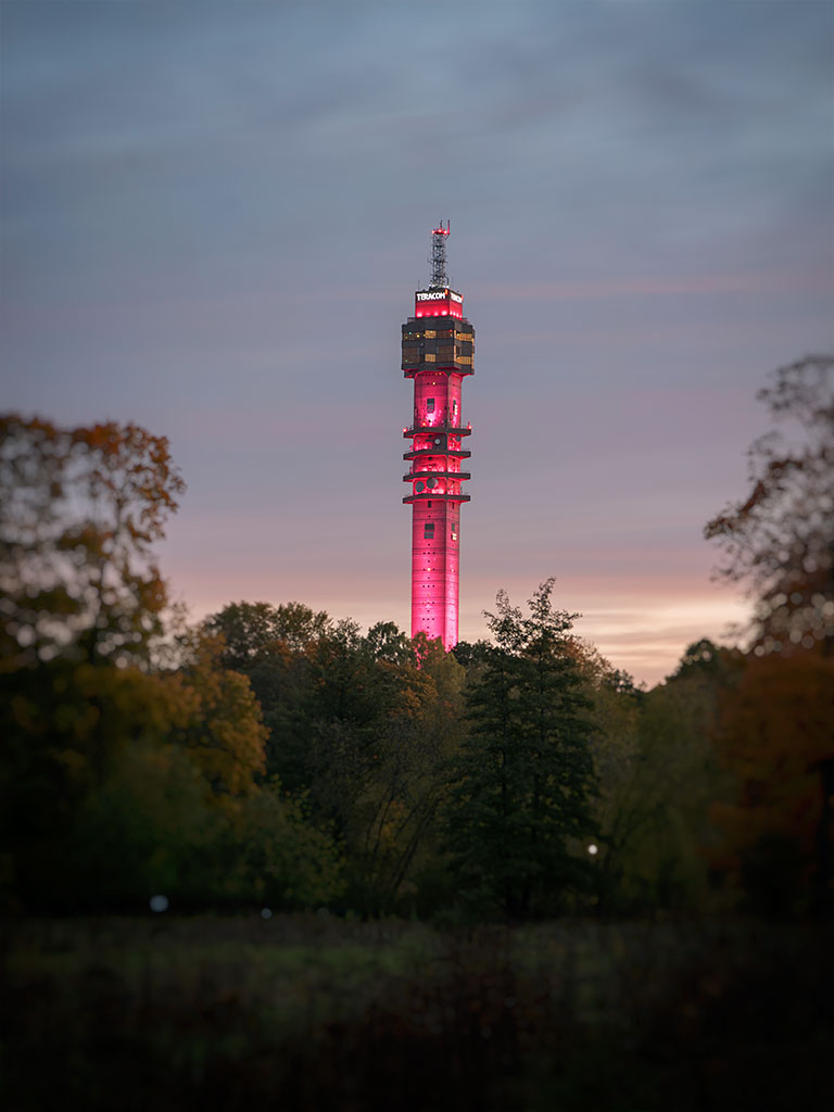 Pink tower