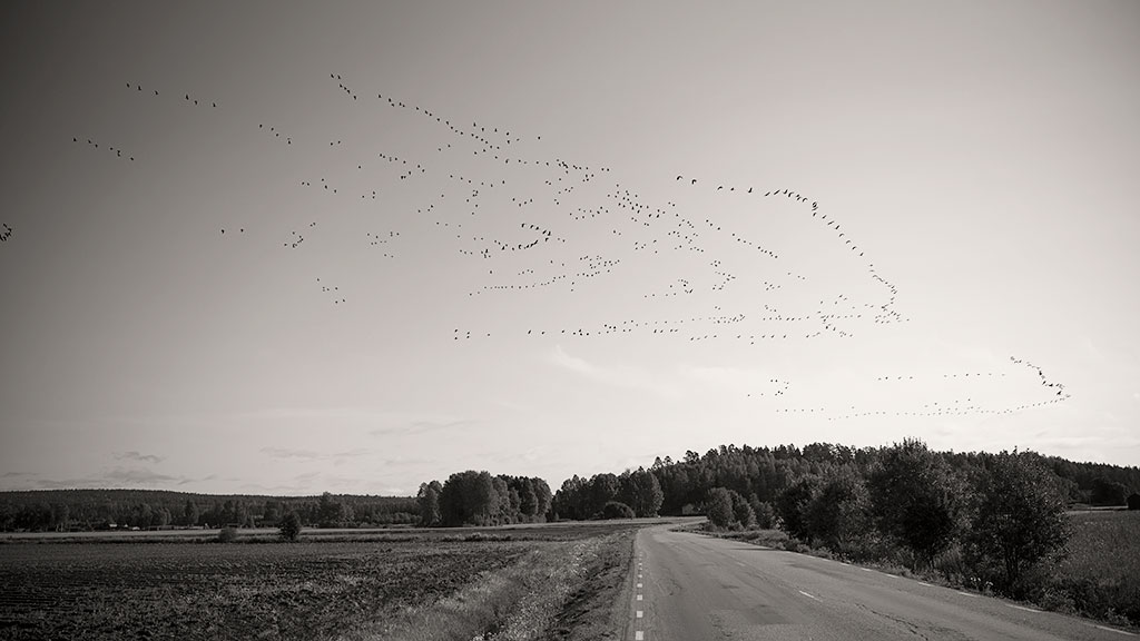 På väg