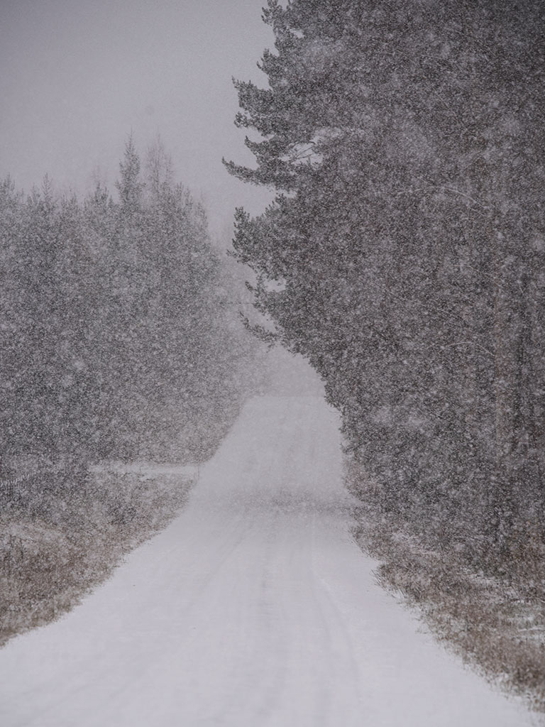 Första snön, iallafall för mig