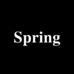 Clients - Spring Studios Logo - Carlos Simpson Talent Designer - London