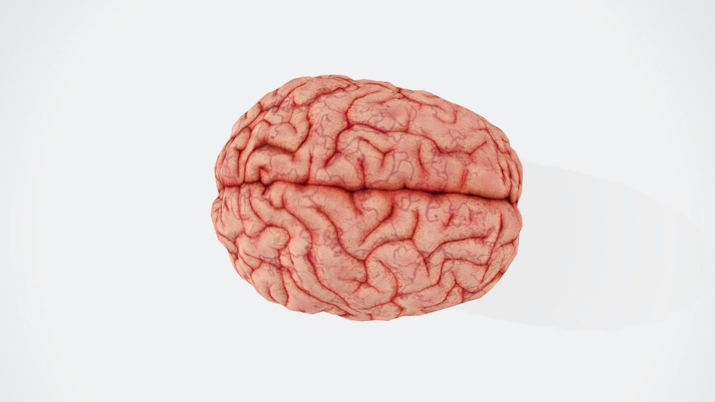 How Trauma Impacts Your Brain