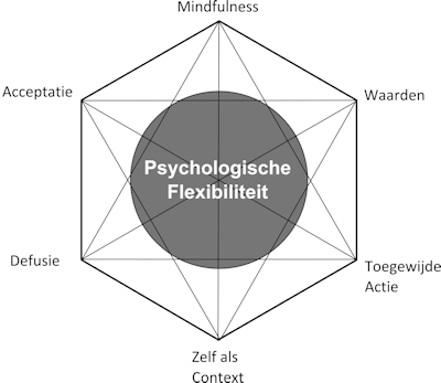 ACT-Hexaflex