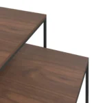 Wood and Metal Coffee Table Set - 2 pcs