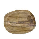 Soap Dish - Petrified Wood - Brown