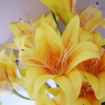 x12 Artificial Flowers - Yellow Lily Plants - 60cm