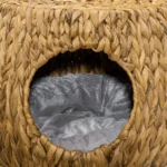 Rattan Wicker Cat Bed or Stool Rest - Elevated Pet Bed with Soft Washable Cushion - 44 x 43 x 41cm