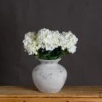 Darcy Antique White Vase - Ceramic - Home Decor