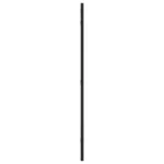 Wall Mirror Iron - Black - Indoor Use - 40 x 80cm
