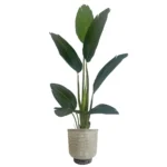 Plant Pot - Brushed Gold Stone Effect Planter - 32cm x 29cm