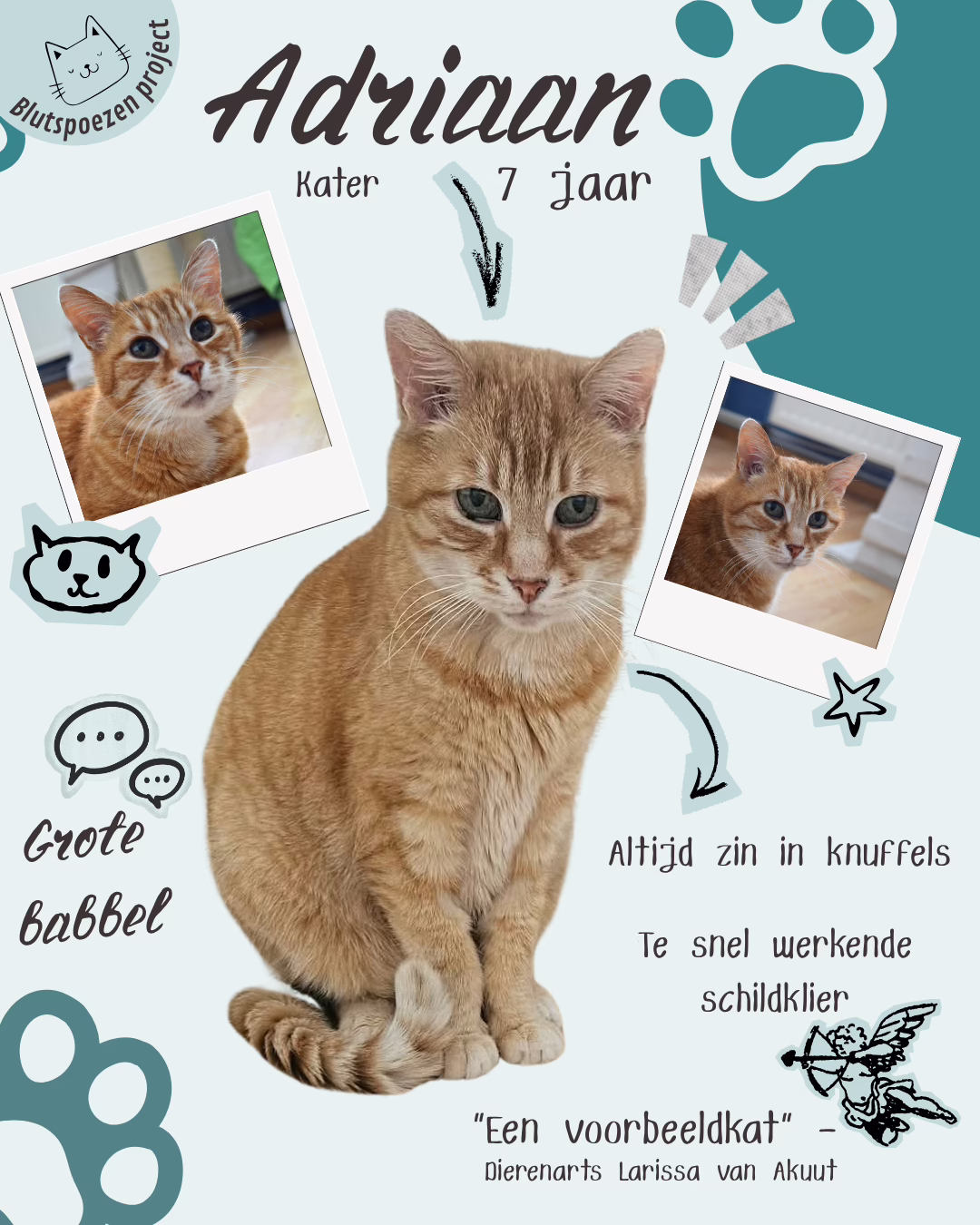 Adriaan