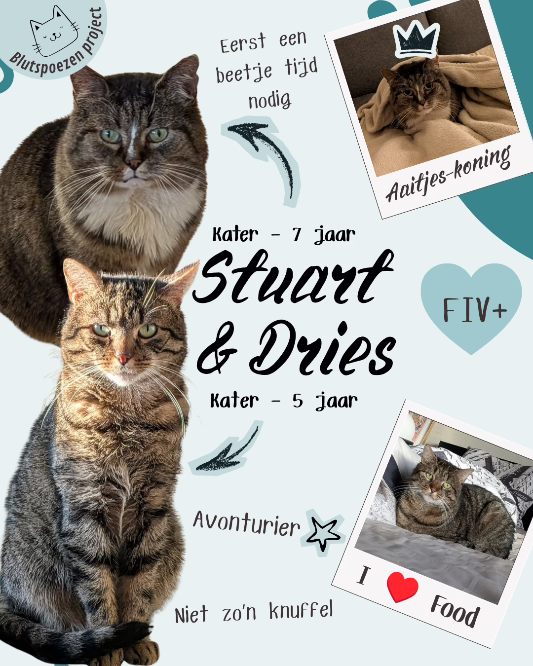 Stuart & Driesje