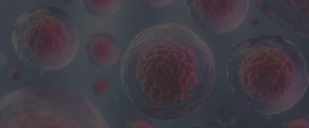 Cellaviva delivers stem cells to treat serious blood disease