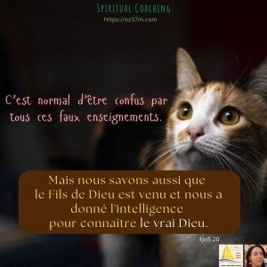 Lire la suite à propos de l’article C’est normal