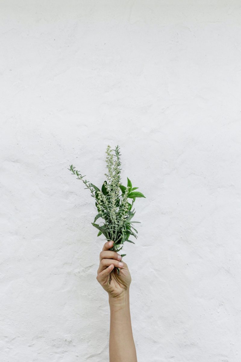nordwood-themes-FnOoRU-PYio-unsplash (1)