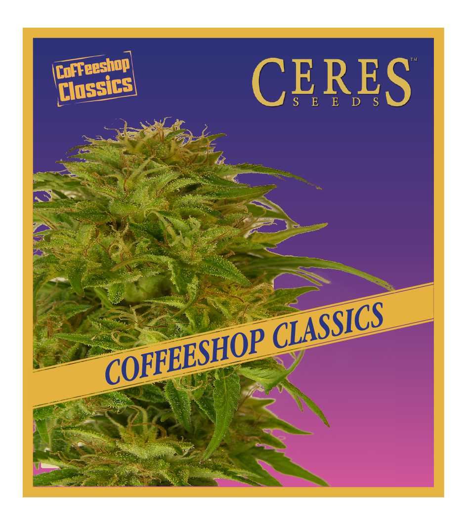 Super Automatic Kush - Ceres Seeds Amsterdam