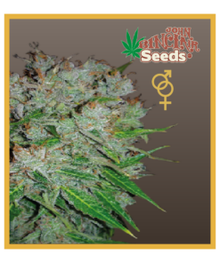 Viper - Regular Cannabis Seeds - John Sinclair Seeds