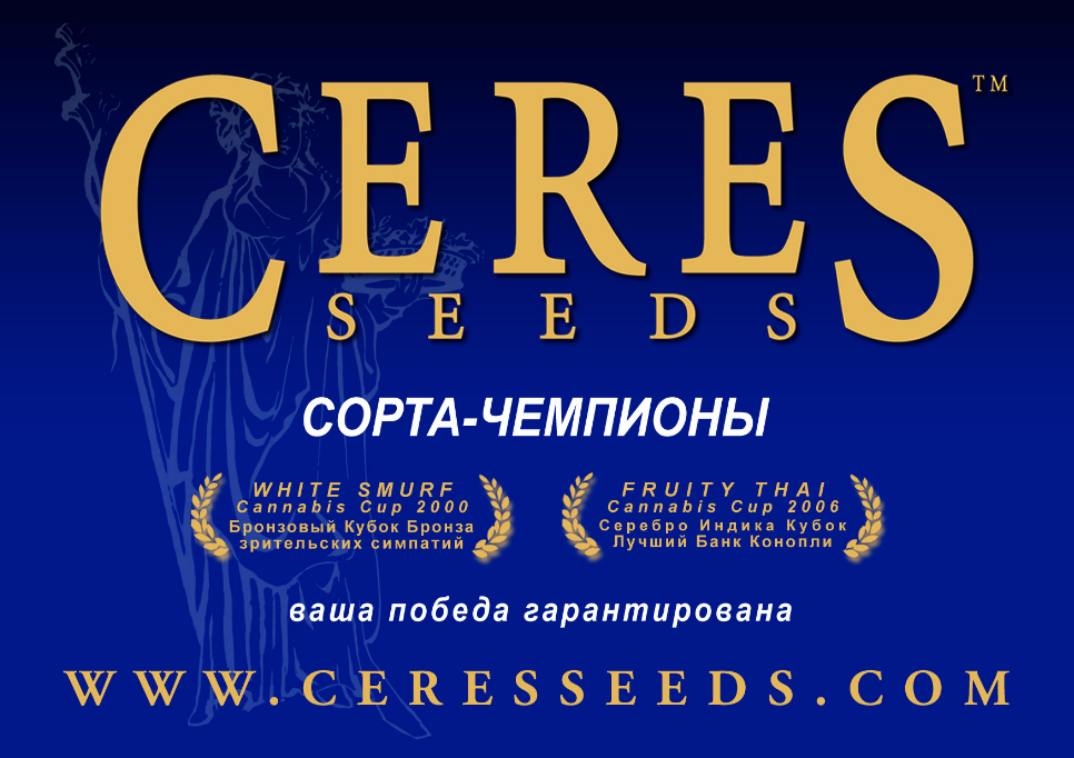 Ceres Seeds Amsterda - Copta